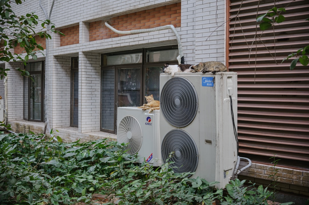 cats-are-lounging-on-an-outdoor-air-conditioning-unit-yspwg-wt-cs